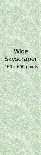 banner wide skyscraper 160x600 pixels