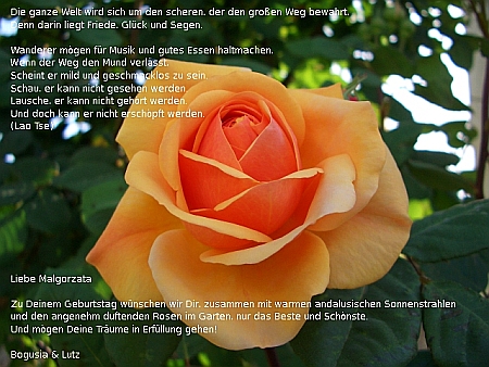 tarjeta de saludo (c) 2005 proAspecto web design Feliz Cumplea�os 6
