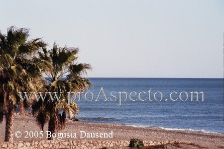 ProAspecto  Landschaften (c) 2005 Bogusia Dausend