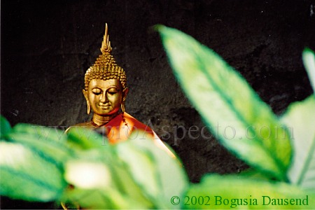 ProAspecto  Various (c) 2002 Bogusia Dausend