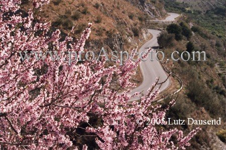 ProAspecto  Landschaften (c) 2005 Lutz Dausend