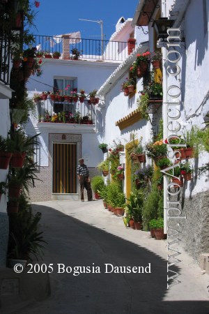 ProAspecto  Architecture (c) 2005 Bogusia Dausend