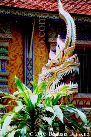 ProAspecto  Varios (c) 2003 Bogusia Dausend