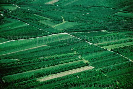 ProAspecto  Landschaften (c) 2002 Lutz Dausend