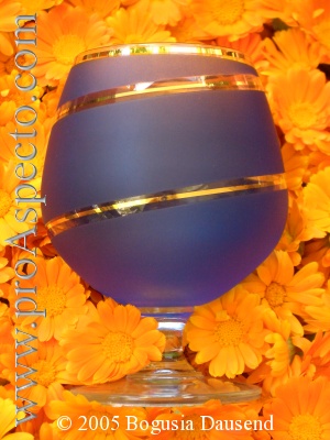 ProAspecto  Productos (c) 2005 Bogusia Dausend