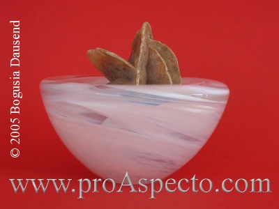 ProAspecto  Productos (c) 2005 Bogusia Dausend