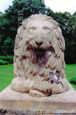 ProAspecto  Diverses (c) 2001 Bogusia Dausend