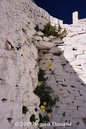 ProAspecto  Diverses (c) 2005 Bogusia Dausend