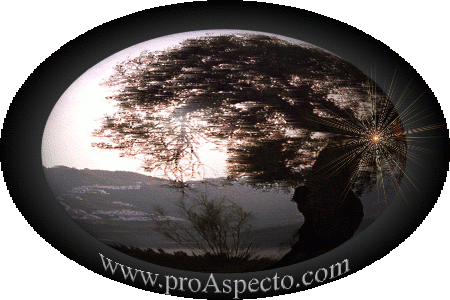 ProAspecto  Varios (c) 2005 Bogusia Dausend