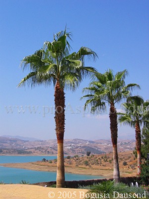 ProAspecto  Landschaften (c) 2005 Bogusia Dausend