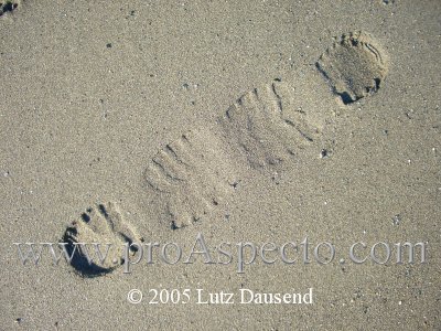 ProAspecto  Diverses (c) 2005 Lutz Dausend