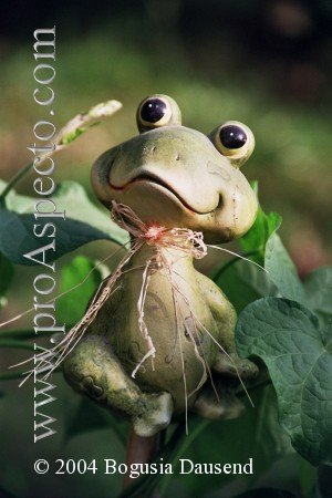 ProAspecto  Diverses (c) 2004 Bogusia Dausend