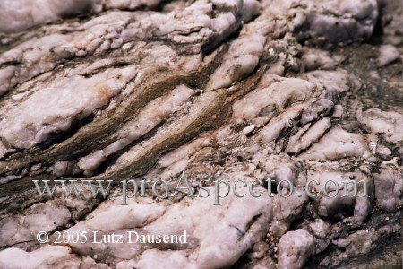 ProAspecto  Diverses (c) 2005 Bogusia Dausend