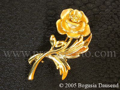 ProAspecto  Productos (c) 2005 Bogusia Dausend