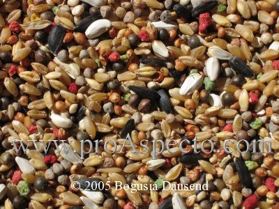 ProAspecto  Diverses (c) 2005 Bogusia Dausend