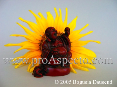 ProAspecto  Various (c) 2005 Bogusia Dausend