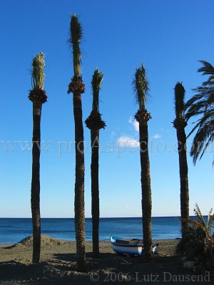 ProAspecto  Landschaften (c) 2006 Lutz Dausend