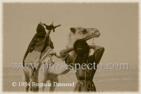 ProAspecto  Gente (c) 1984 Bogusia Dausend