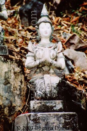 ProAspecto  Varios (c) 2003 Bogusia Dausend