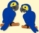 logo of language school in torre del MAr, www.academiacomunica.net